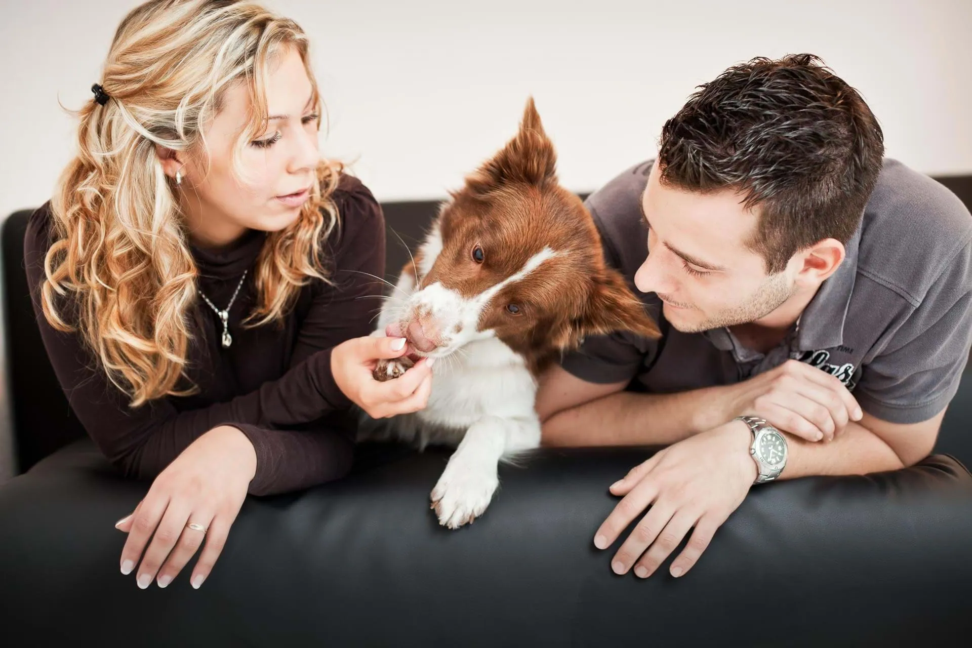 Young couple with a Border Collie on a sofa — intimate lifestyle shot